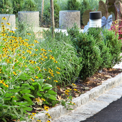 Landscaping & Planting